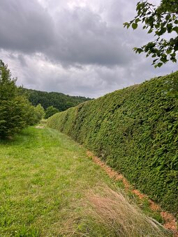 Údržba zahrad - 5