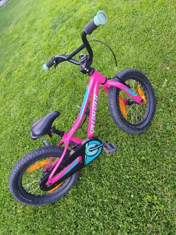 Specialized 16" Riprock Coaster - 5