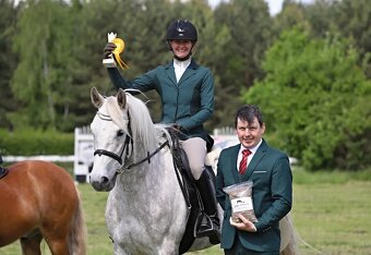 Nádherný valach na všechno:-) - 5