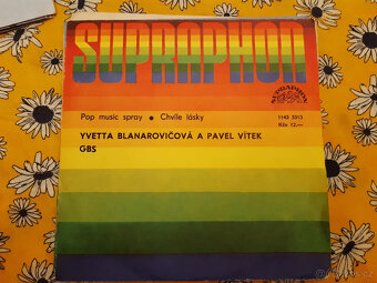 SP deska ružné druhy výběr dle foto 2 - 5