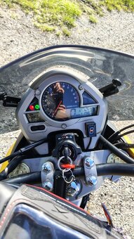 Honda Hornet 600 - 5