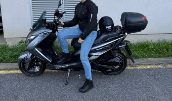 KENTOYA Maximus, Torax - 5