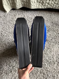 Sled dogs K9.02 rabid - 5