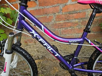 Dívčí kolo X-FACT 20 - 5