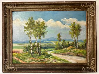 Letní krajina v podhůří - 5