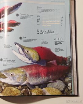 Ottova encyklopedie ZVÍŘATA - NOVÁ - 5