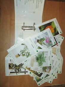 Pokojové rostliny od A do Z (35 karet) - 5