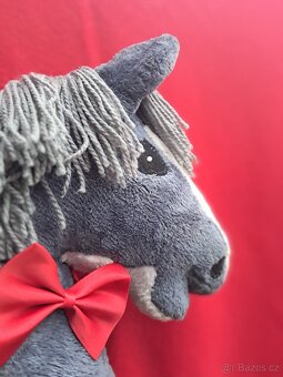 Hobby horse - 5