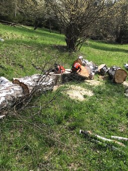 Kácení stromů, sekání trávy - 5