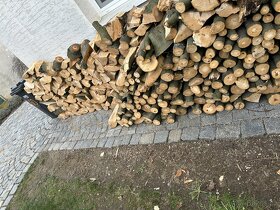 Bukové drevo-Stipane suché - 5