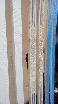 Běžky 190cm šupinky SNS - 5