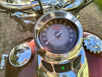 Harley Davidson Heritage Softail - 5
