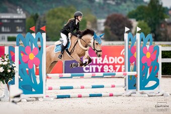 Sportovní pony klisna - 5