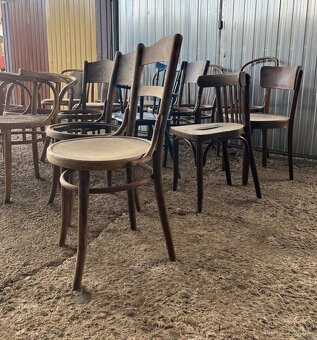 Staré Thonet židle - 5