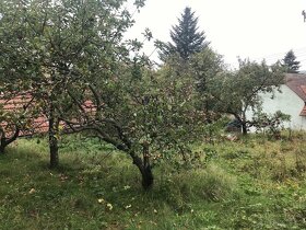 Stavební pozemek 187 m2 (hrubá stavba za 1,7 mil.) - Uhřice - 5