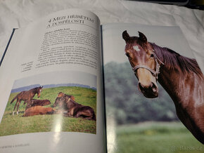Odborná literatura o koních, jezdectví - Trénink koně - 5