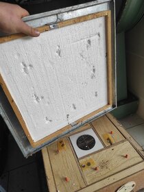 Oplodňáček,sekce na chov včelích matek - 5