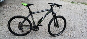 Kellys Magnus - 5