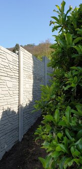 Betonový plot.  Skládaný betonový plot.  Štípaný kámen - 5