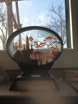 Japonská miniatura velka - 5