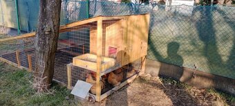 Kurník pro slepice - 5