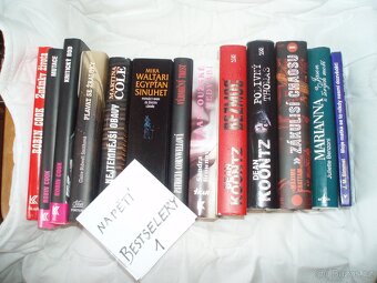 romány pro ženy a dívky, bestselery-B.Small,J.Deveraux - 5