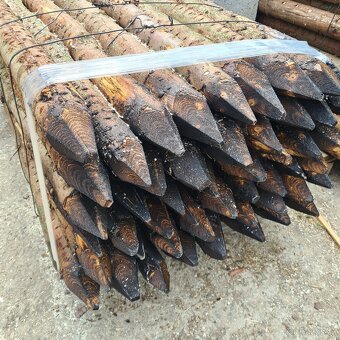 Kůly na oplocení - modřín  - 5