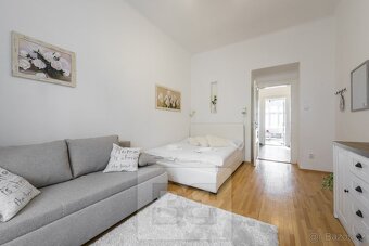 Prostorný byt 2+1 (46,6 m2) na Vinohradech, Vinohradská ulic - 5