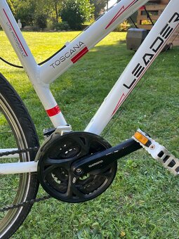 Leader Fox Toscana Lady 19’ - 5