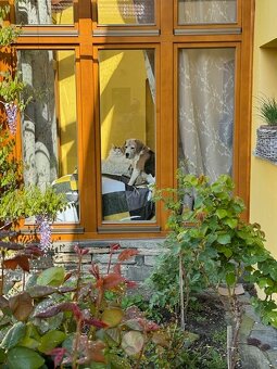 Objekt bývalého statku Český Krumlov, 5 km stranou - 5