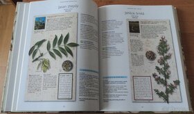 Rostlinná medicína - 5