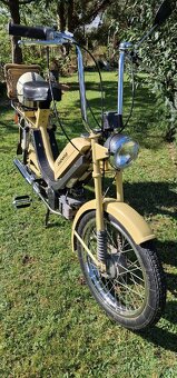 Babetta - 5