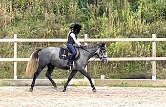 Rodinna / detska klisna - 5