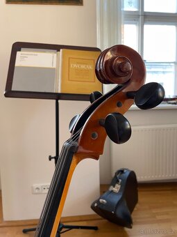 Cello Strunal 3/4 - 5