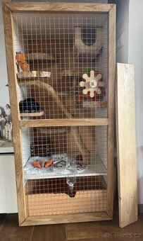 Skříňoklec klec činčila - 5