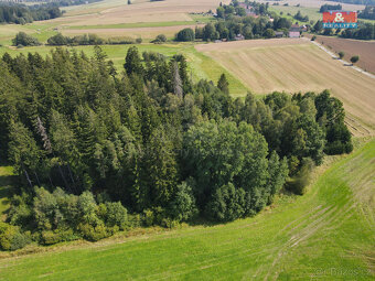 Prodej lesa, 4708 m², Kamenice nad Lipou - 5