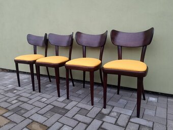 Prvorepublikové židle THONET po renovaci - 5