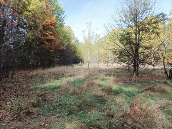 Prodej komerčních pozemků, Veselí nad Lužnicí - 5