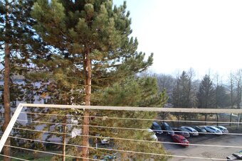 Pronajmu byt 1+1, Kamenická ulice, Děčín 2 - 5