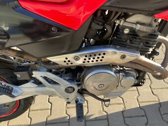 HONDA FMX 650 - 5