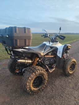 TGB 425 Target, r.v.2009 - 5