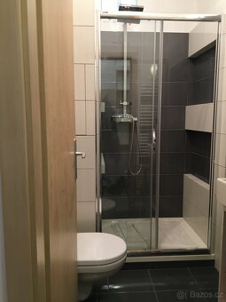 Mělník, ul. Čechova, 1+kk- 30 m² - 5