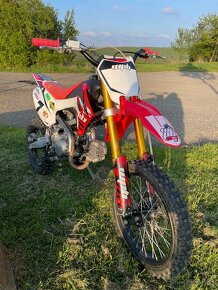 Pitbike wpb 155 - 5