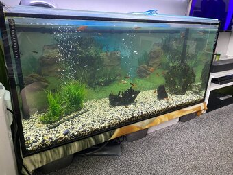 Akvárium 310L + příslušenství - 5