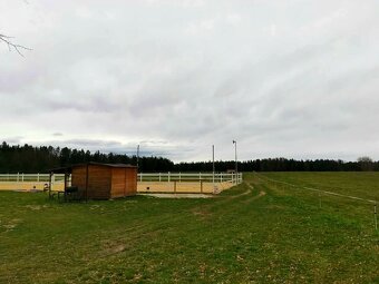 Ustájení koní Těšínov - 5