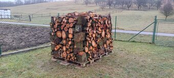 Prodám palivové dřevo - 5