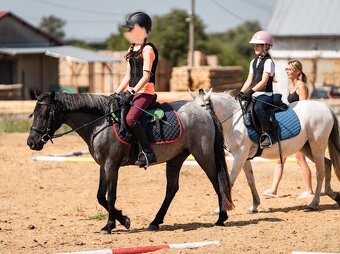 Pony pre deti - 5