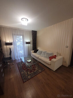 Pronájem bytu 2+kk, U Borského parku 2887/27, 52 m2 - 5