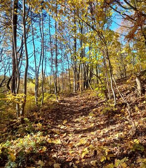 APARTMÁN V KRKONOŠÍCH /4os. - 5