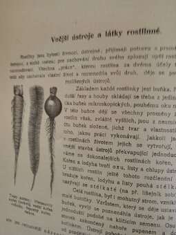 Bauše - Český herbář - 5